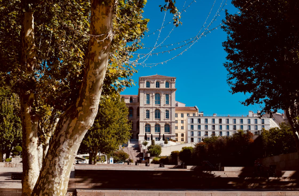 新加坡艺术类大学留学条件