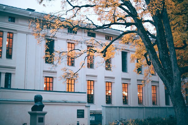 澳洲学美术的大学