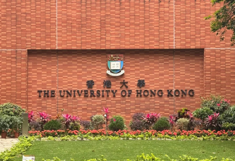香港大学艺术类专业