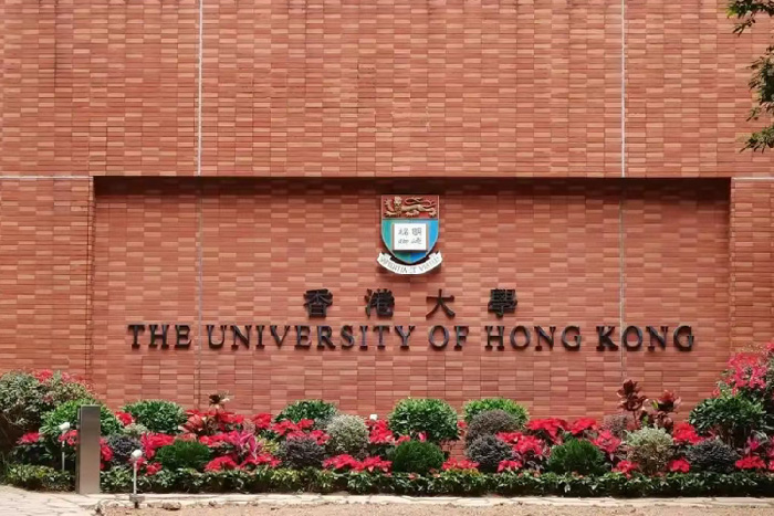 香港大学艺术类专业