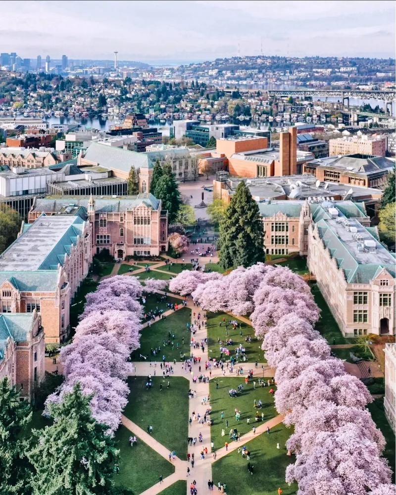 日本学动漫最好的学校