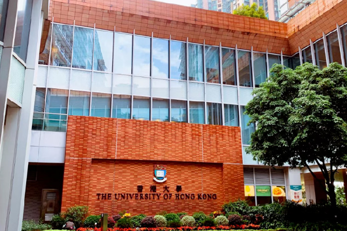 香港大学艺术类专业