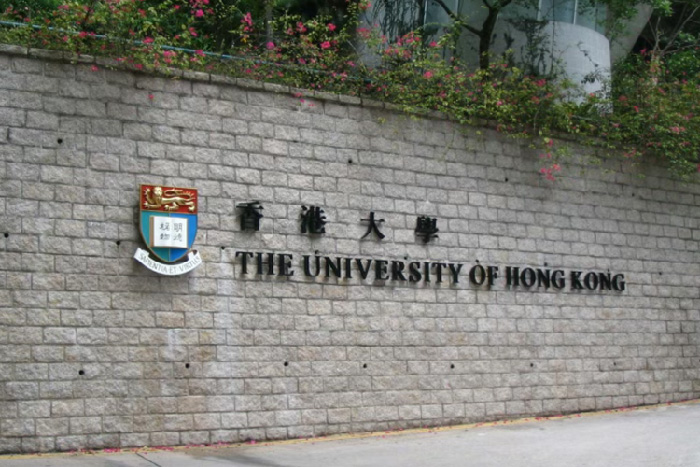 香港大学艺术类专业