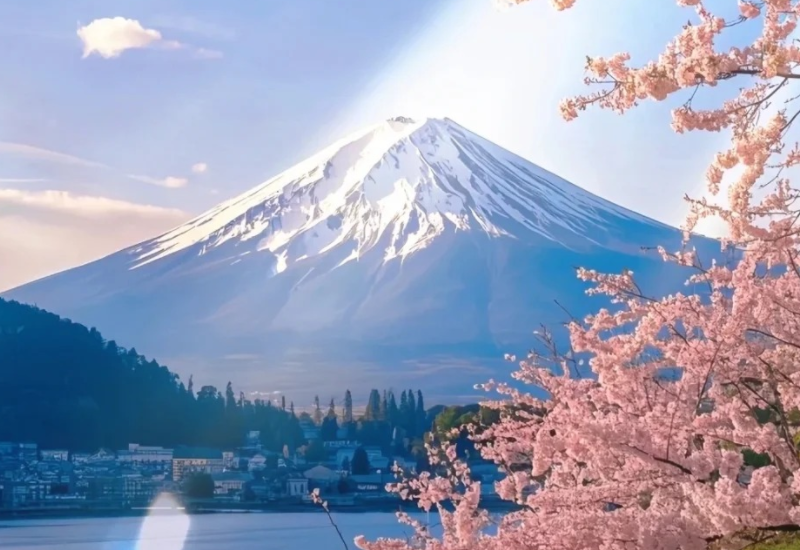 日本艺术本科留学条件