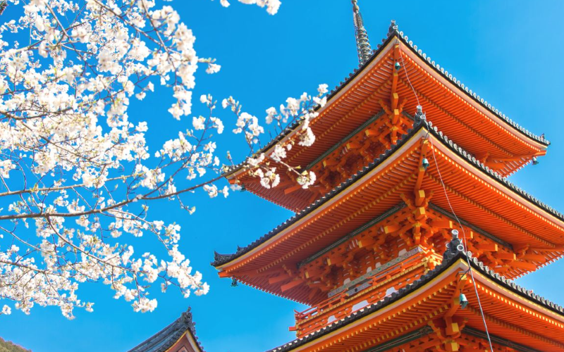 日本摄影专业最好的大学