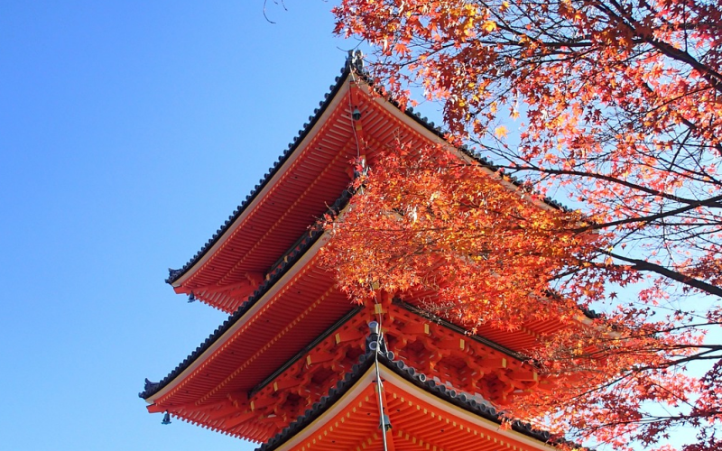 日本东京艺术大学留学条件
