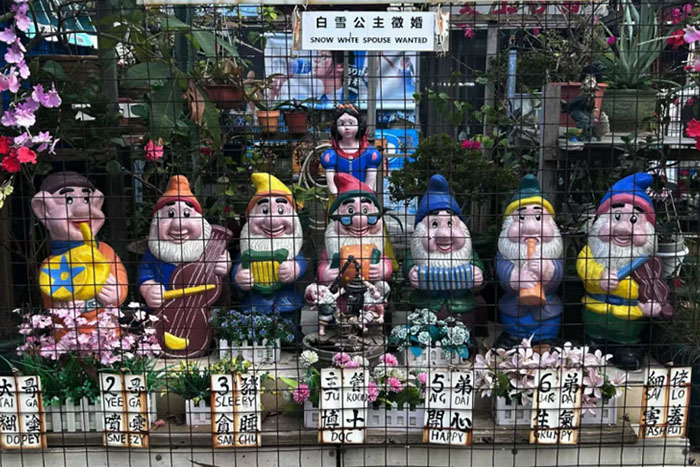 香港建筑学留学
