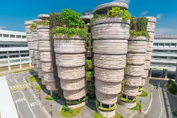南洋理工大学艺术专业