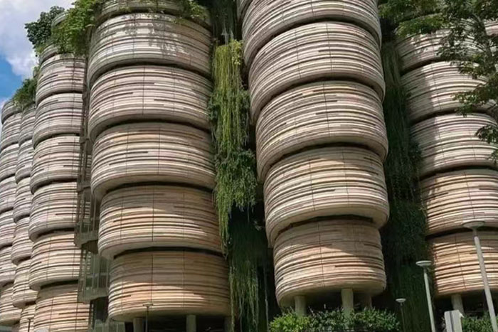 南洋理工大学艺术专业