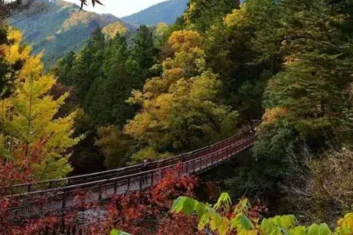 武藏野大学与武藏野美术大学一样吗