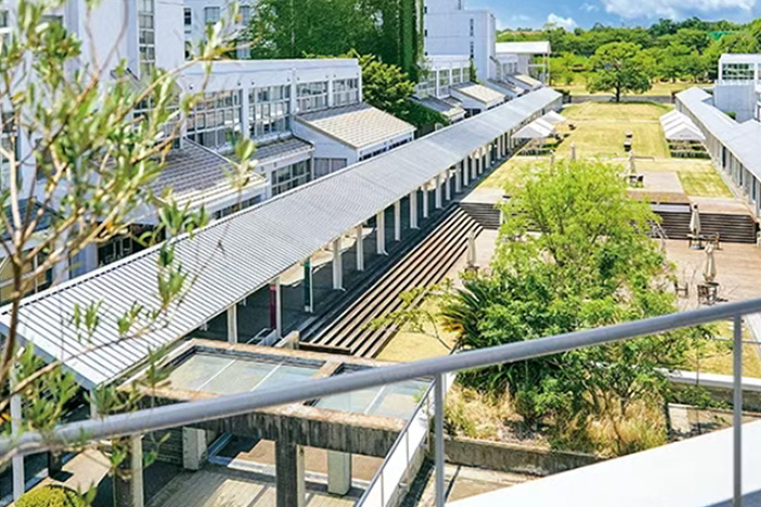 日本艺术类大学