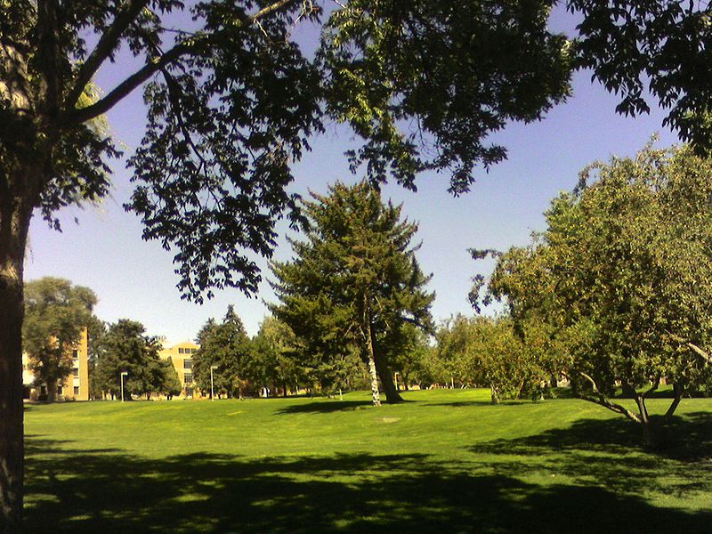 美国艺术类大学排名