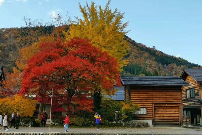 日本研究生申请条件