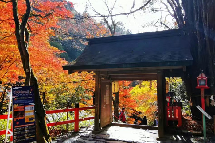 日本研究生申请条件