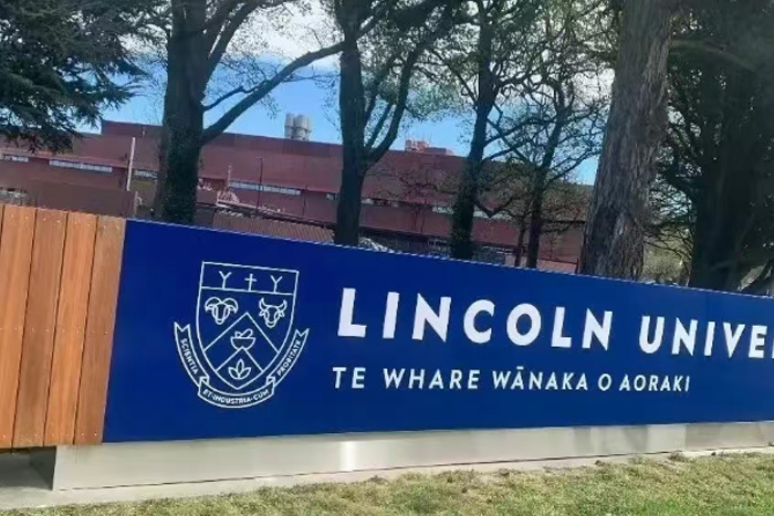 新西兰艺术类留学