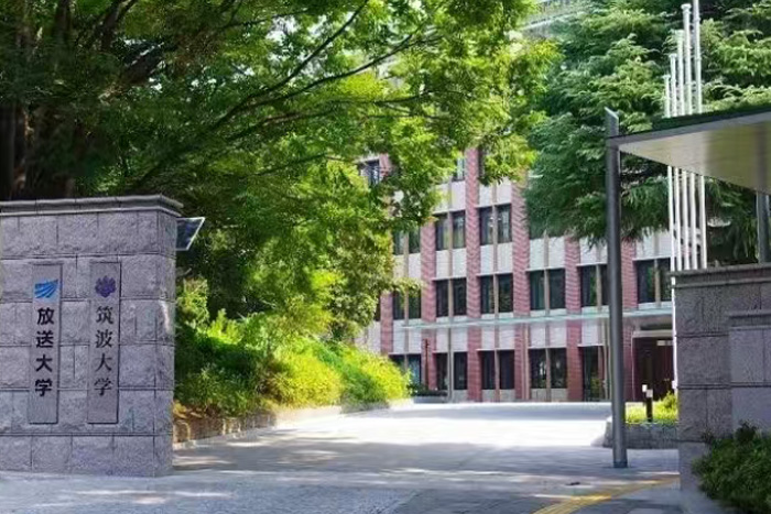 筑波大学艺术系