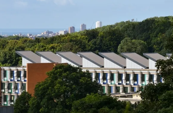 布莱顿大学艺术排名图片