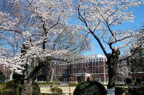 武藏野音乐大学怎么样？